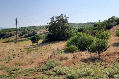 Farm hus i Alenquer, Lisbon, Alenquer - € 499.000 | Ref: LOURLS720 - foto 21